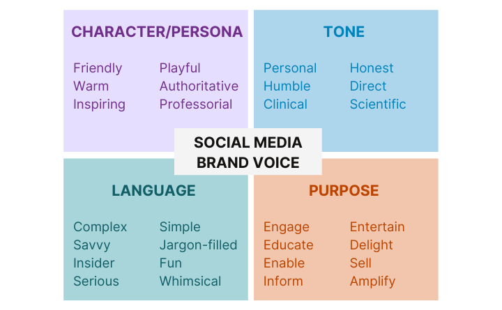 Social Media & Content Strategy